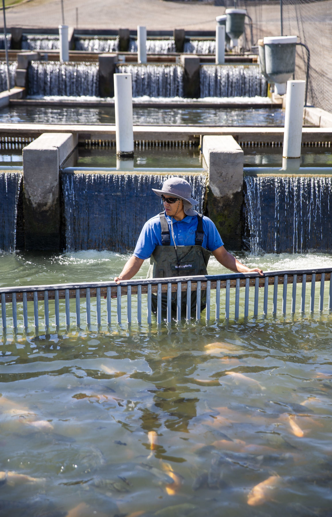 Aquaculture industry takes a hit with coronavirus closures